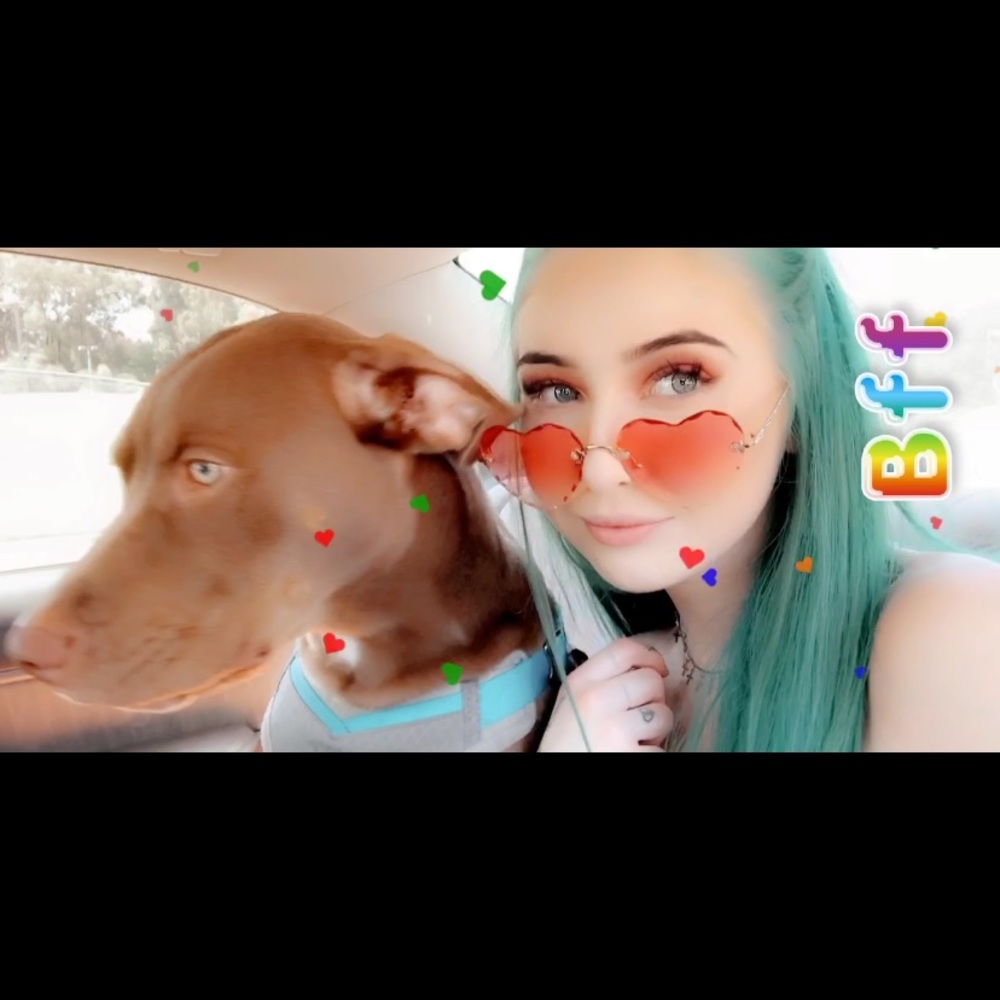 Meet your Posher, Coral